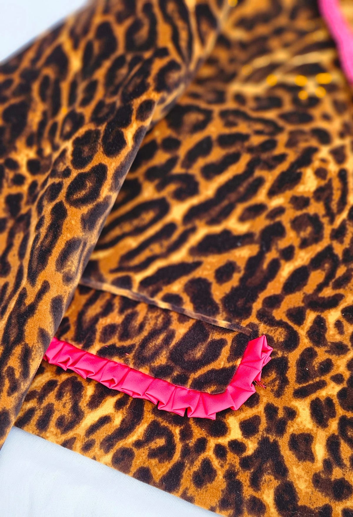 Upcycled Leopard Print Blazer | Pink Trim, Western Graphic, Cropped Style